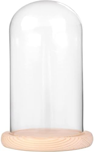 Ivolador 7x4 Inch Glass Cloche Dome with Wood Base