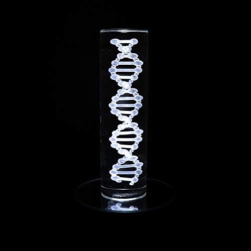 LED Black Display Base with White Light Stand - 3 AAA Battery Powered Pedestal
