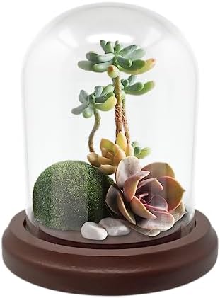 Clear Glass Dome with Hook and Wooden Base - 4 Inch Display Stand