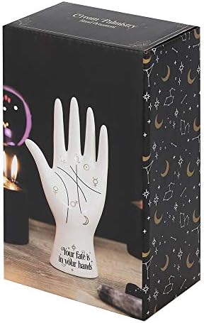 Pacific Giftware Palmistry Symbols Fortune Telling Hand Figurine