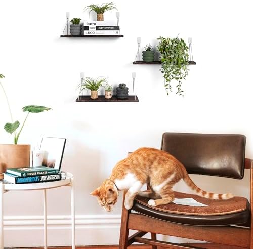 MITIME Floating Shelves Set of 3 Rustic Solid Wood Wall Storage Shelves