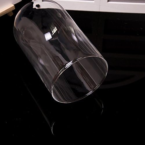 Ivolador 7x4 Inch Glass Cloche Dome with Wood Base