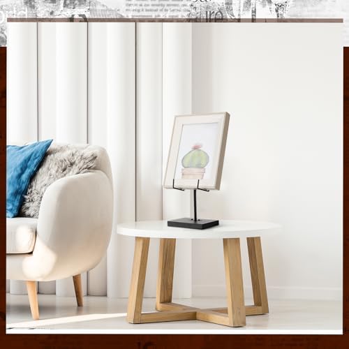 Black Metal Frame Holder for Home Decor Display Stand