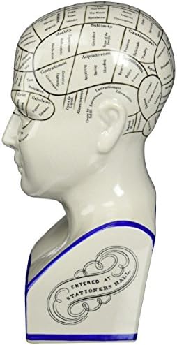 Design Toscano Phrenology Head Bust Statue 12 Inch Porcelain