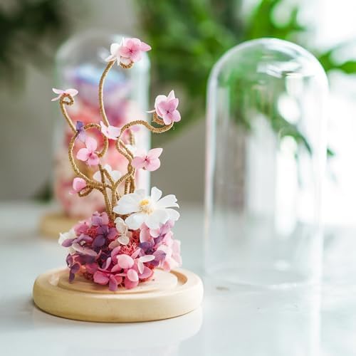 Ivolador 7x4 Inch Glass Cloche Dome with Wood Base