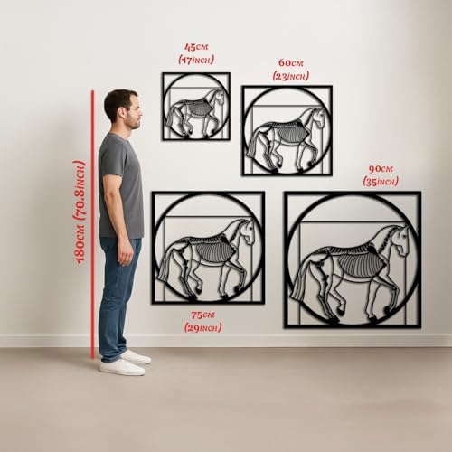 Equine Skeleton Wall Art - Modern Horse Anatomy Decor