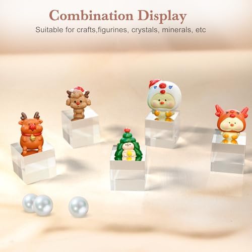 SamyuchO Acrylic Display Blocks 20 Piece Set