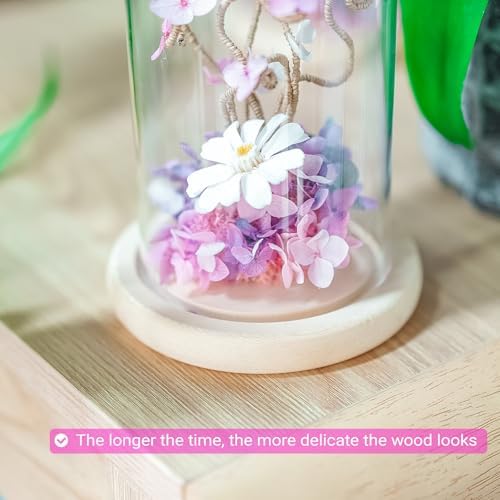 Ivolador 7x4 Inch Glass Cloche Dome with Wood Base