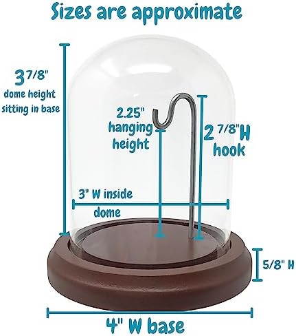 Clear Glass Dome with Hook and Wooden Base - 4 Inch Display Stand
