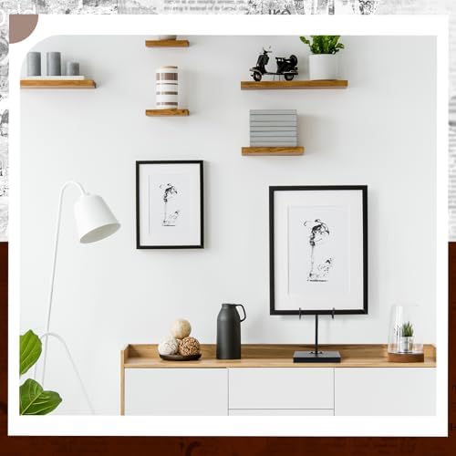 Black Metal Frame Holder for Home Decor Display Stand