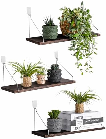 MITIME Floating Shelves Set of 3 Rustic Solid Wood Wall Storage Shelves