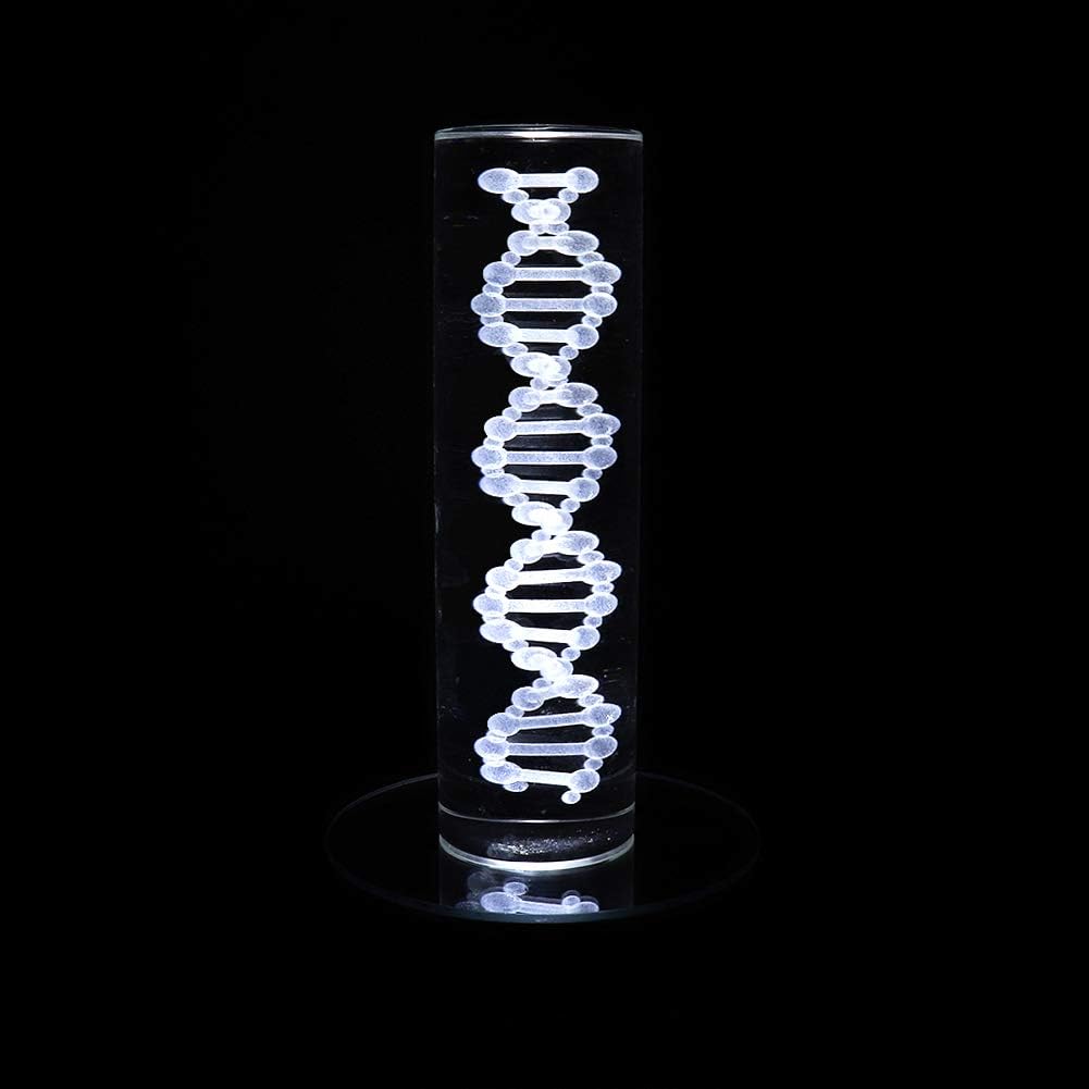 LED Black Display Base with White Light Stand - 3 AAA Battery Powered Pedestal