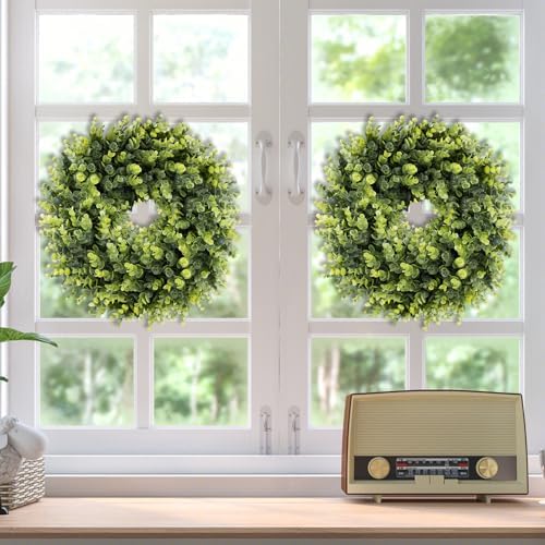 Boxwood Wreath for Front Door and Wall All Seasons 16-18 Inches