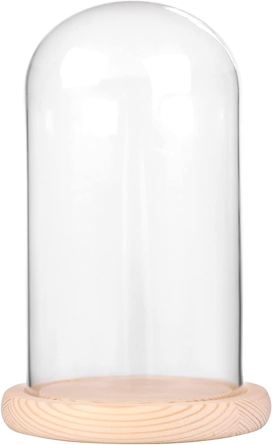 Ivolador 7x4 Inch Glass Cloche Dome with Wood Base