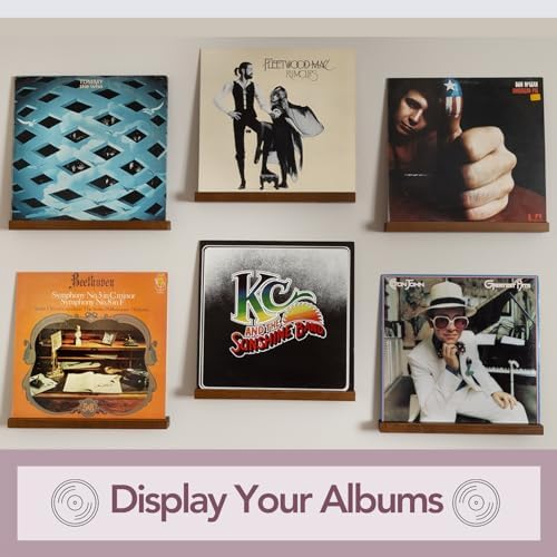 Retro Apothecary Vinyl Record Wall Holder Pack of 6