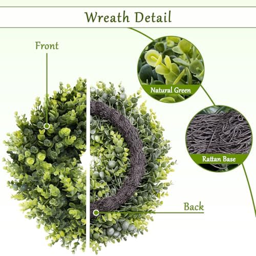 Boxwood Wreath for Front Door and Wall All Seasons 16-18 Inches