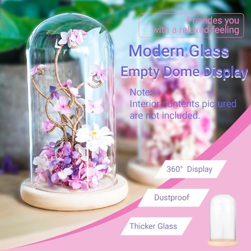 Ivolador 7x4 Inch Glass Cloche Dome with Wood Base