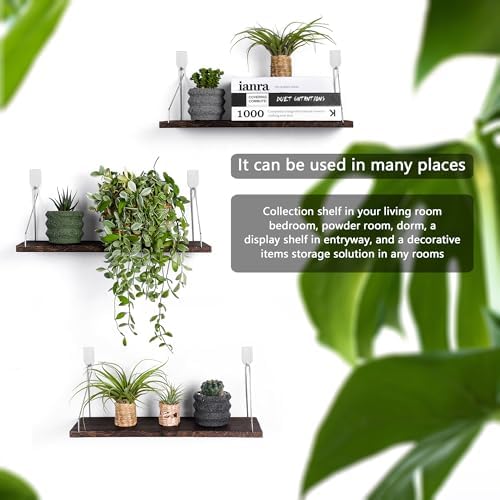 MITIME Floating Shelves Set of 3 Rustic Solid Wood Wall Storage Shelves