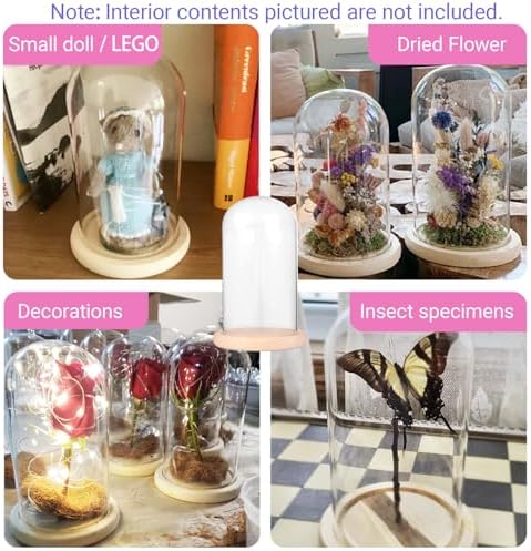 Ivolador 7x4 Inch Glass Cloche Dome with Wood Base