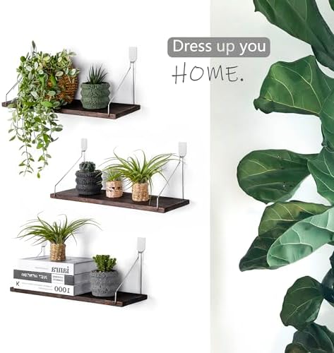 MITIME Floating Shelves Set of 3 Rustic Solid Wood Wall Storage Shelves
