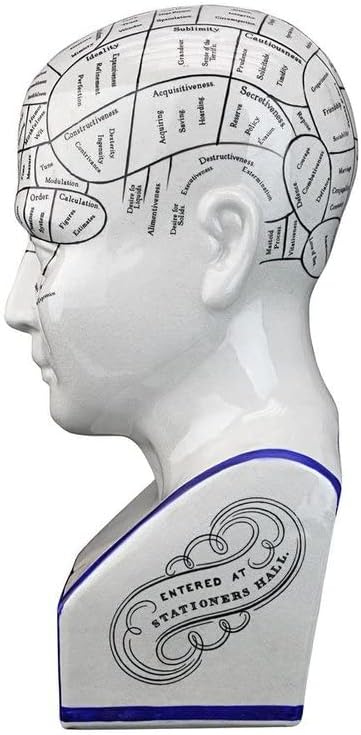 Design Toscano Phrenology Head Bust Statue 12 Inch Porcelain