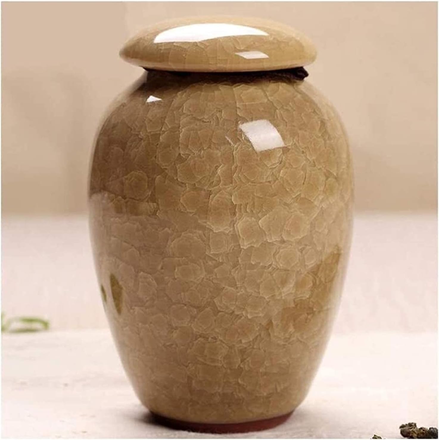 Small Cremation Urns for Human Ashes Mini Decorative Funeral Urns