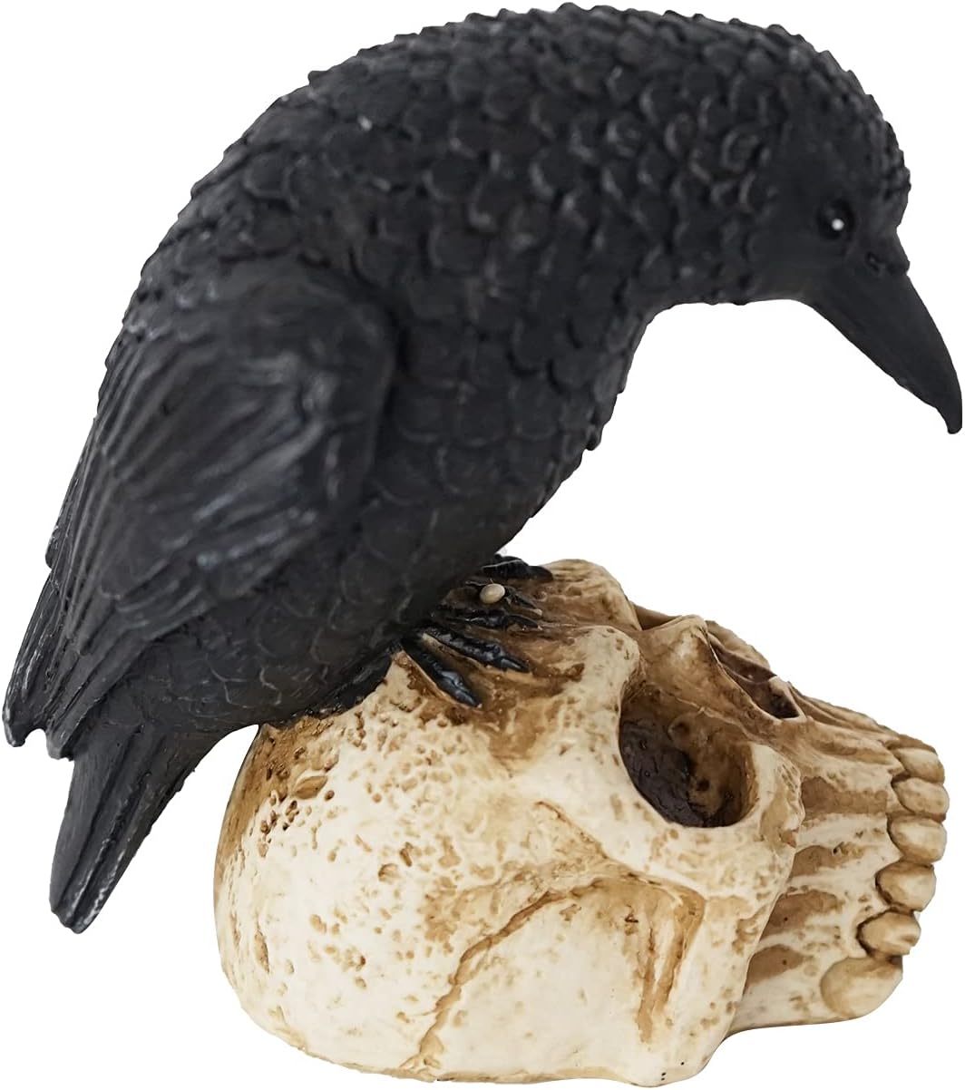 Eraspooky Sitting Crow on Skull Halloween Statue