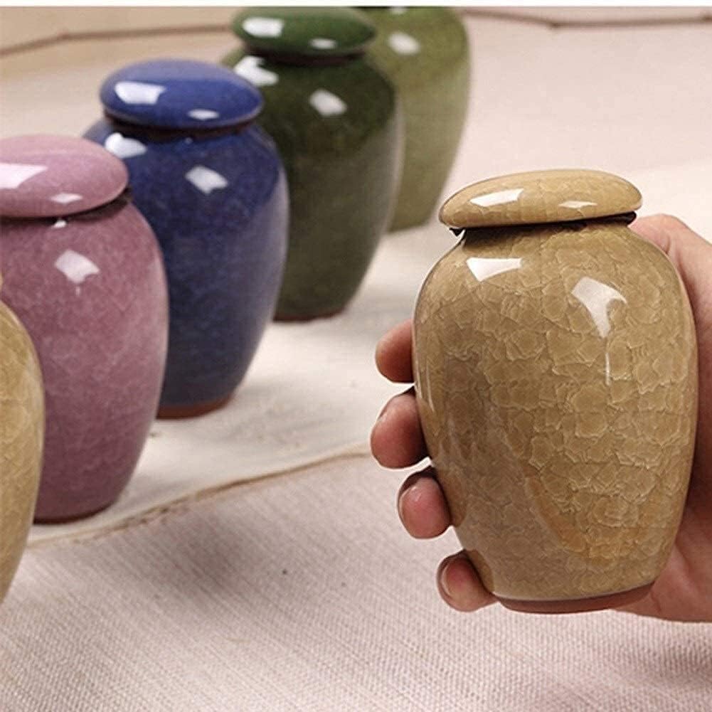 Small Cremation Urns for Human Ashes Mini Decorative Urns