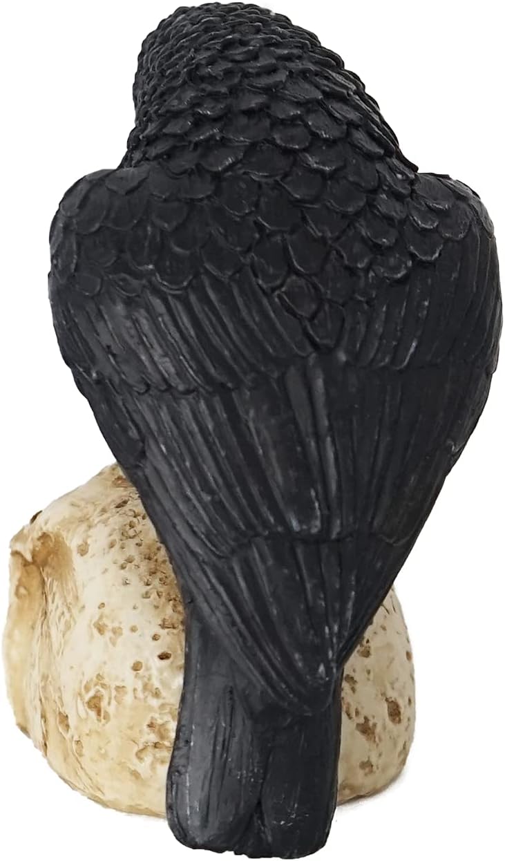 Eraspooky Sitting Crow on Skull Halloween Statue
