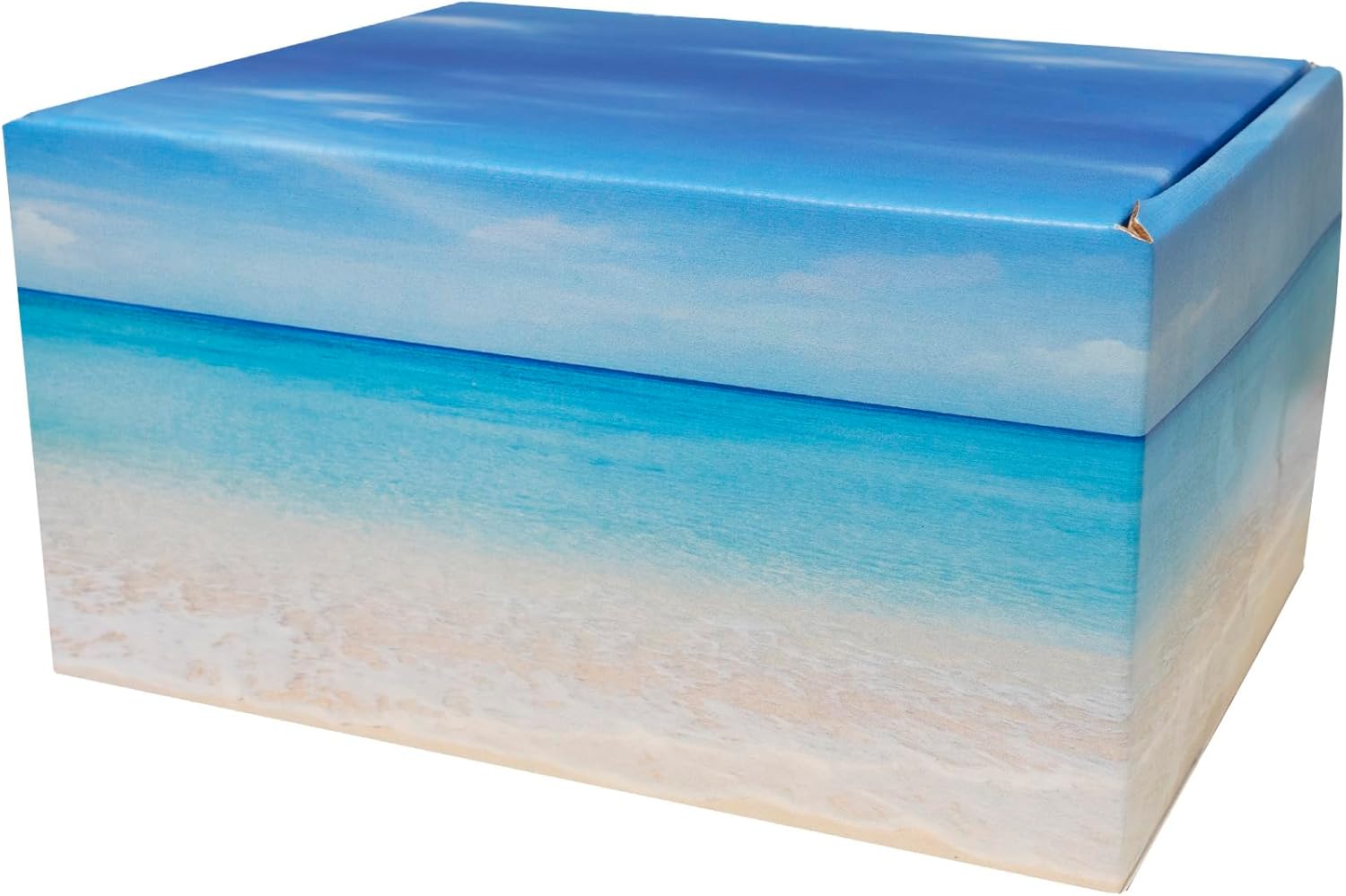 Seashore Themed TSA Approved Travel Cremation Urn Kit - Blue Plastic Urn with Seascape Mailing Box