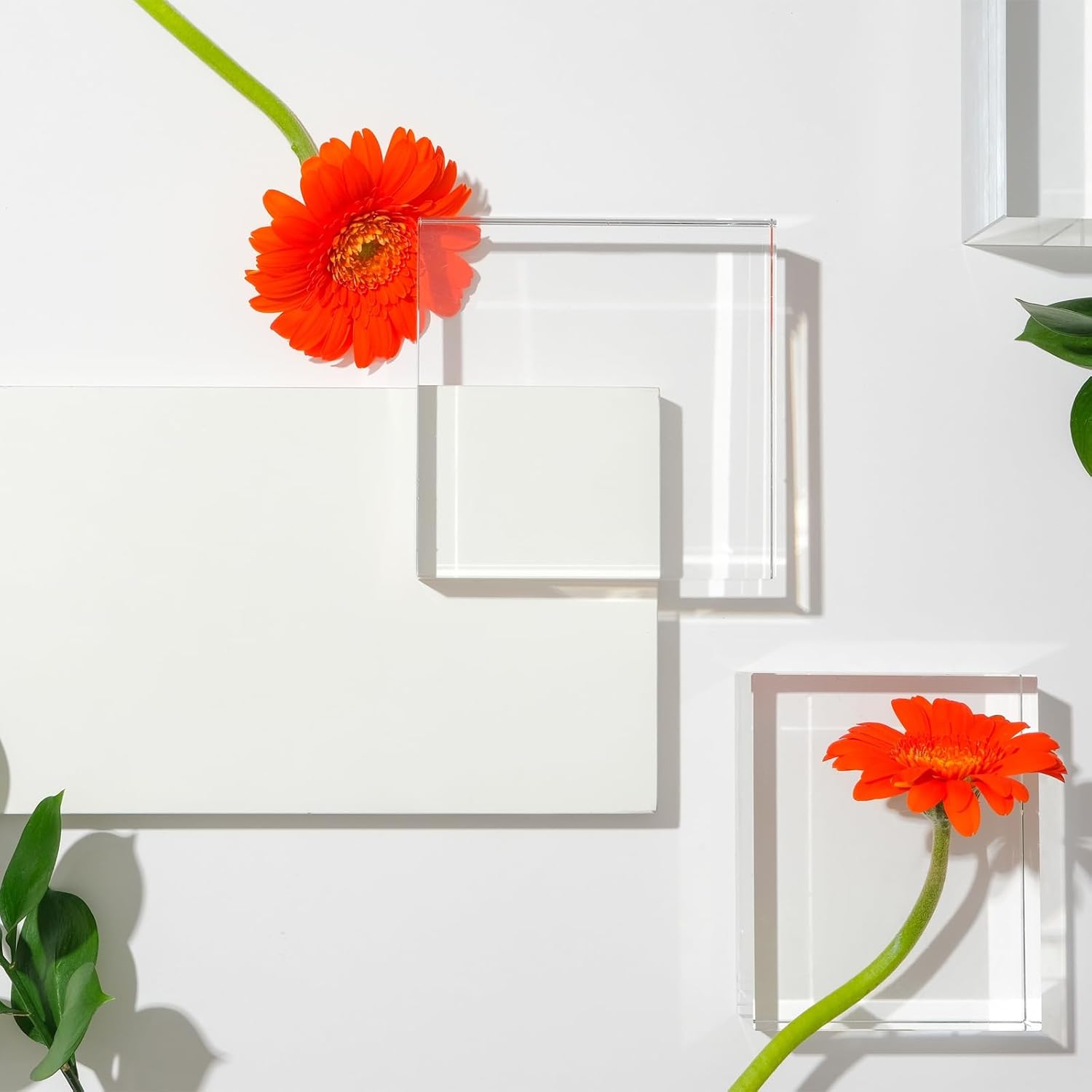 Uxcell 2pcs Acrylic Cylinder Display Blocks 30x60mm Clear Jewelry Stand Base for Rings and Cosmetics