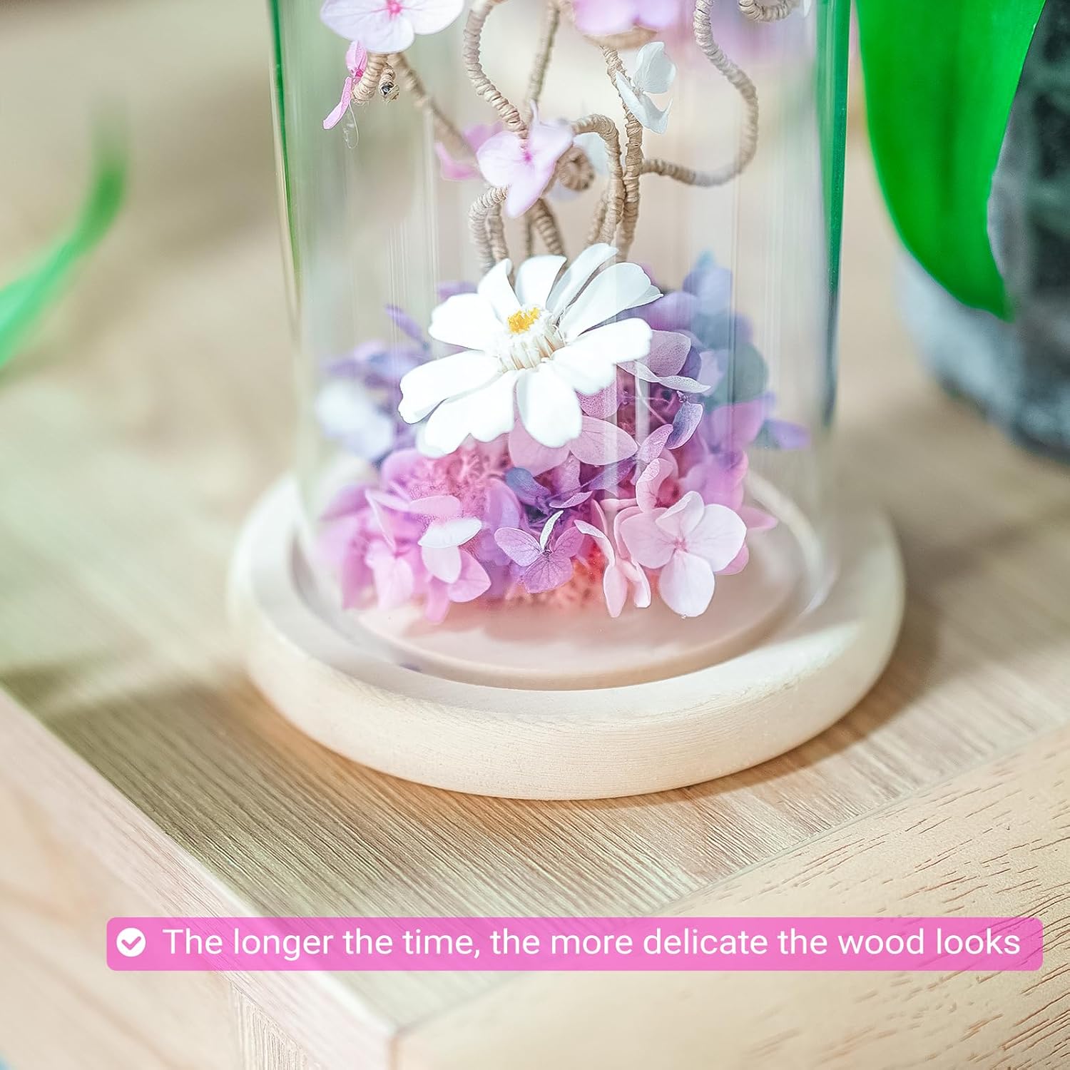 Ivolador 7x4 Inch Glass Cloche Dome with Wood Base