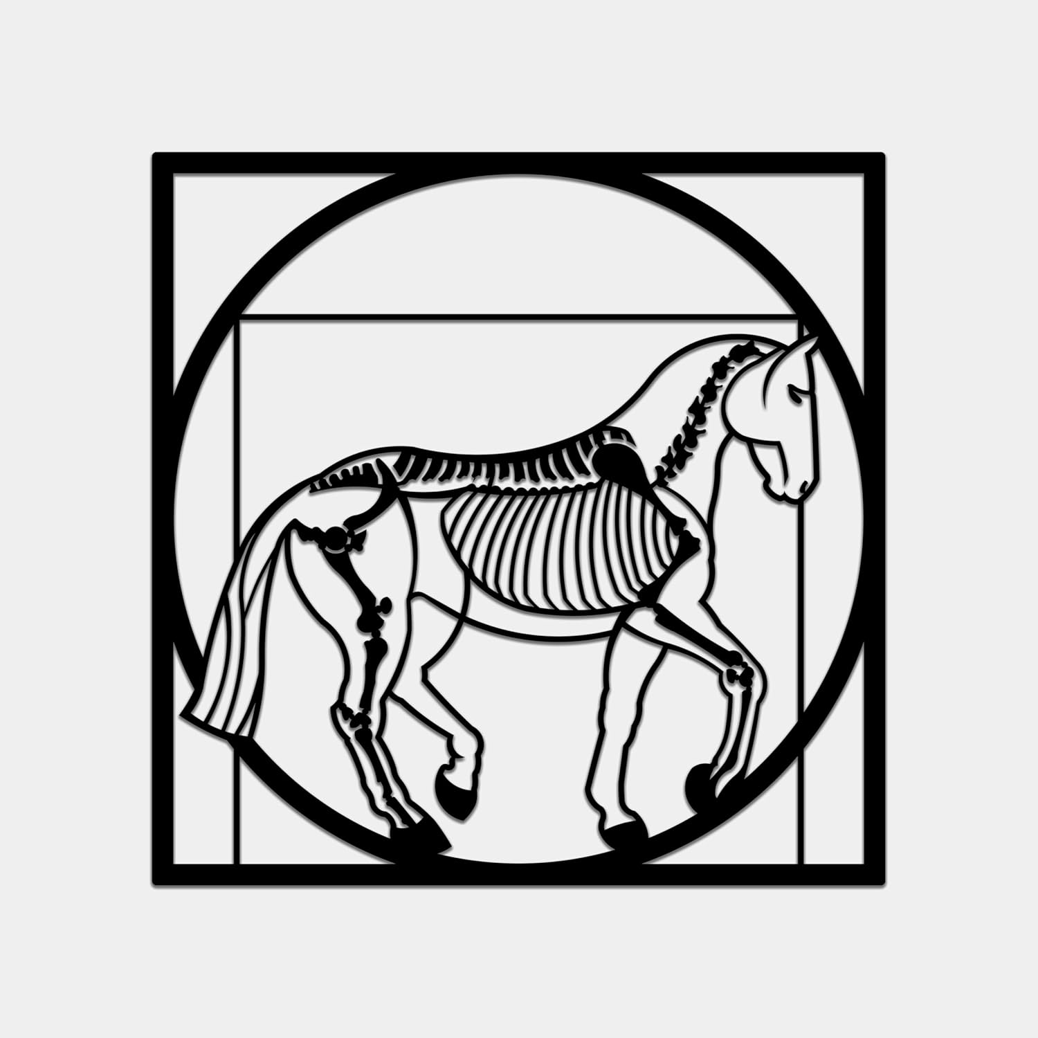 Equine Skeleton Wall Art - Modern Horse Anatomy Decor