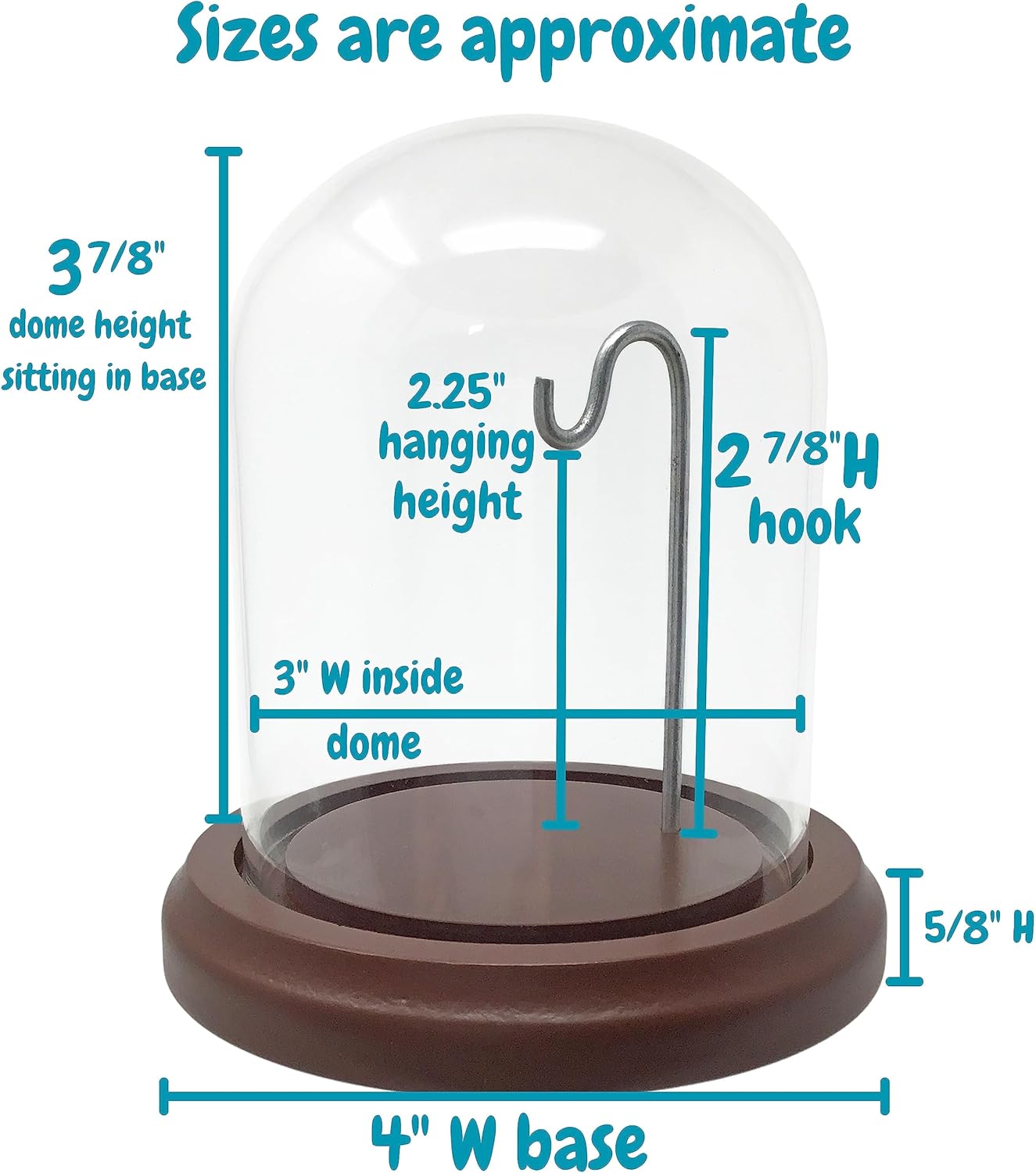 Clear Glass Dome with Hook and Wooden Base - 4 Inch Display Stand