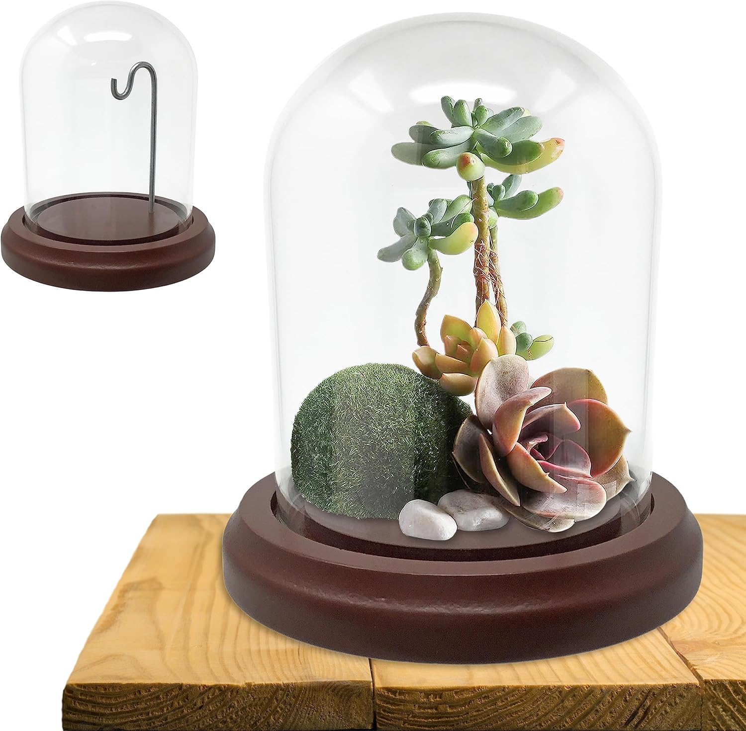Clear Glass Dome with Hook and Wooden Base - 4 Inch Display Stand