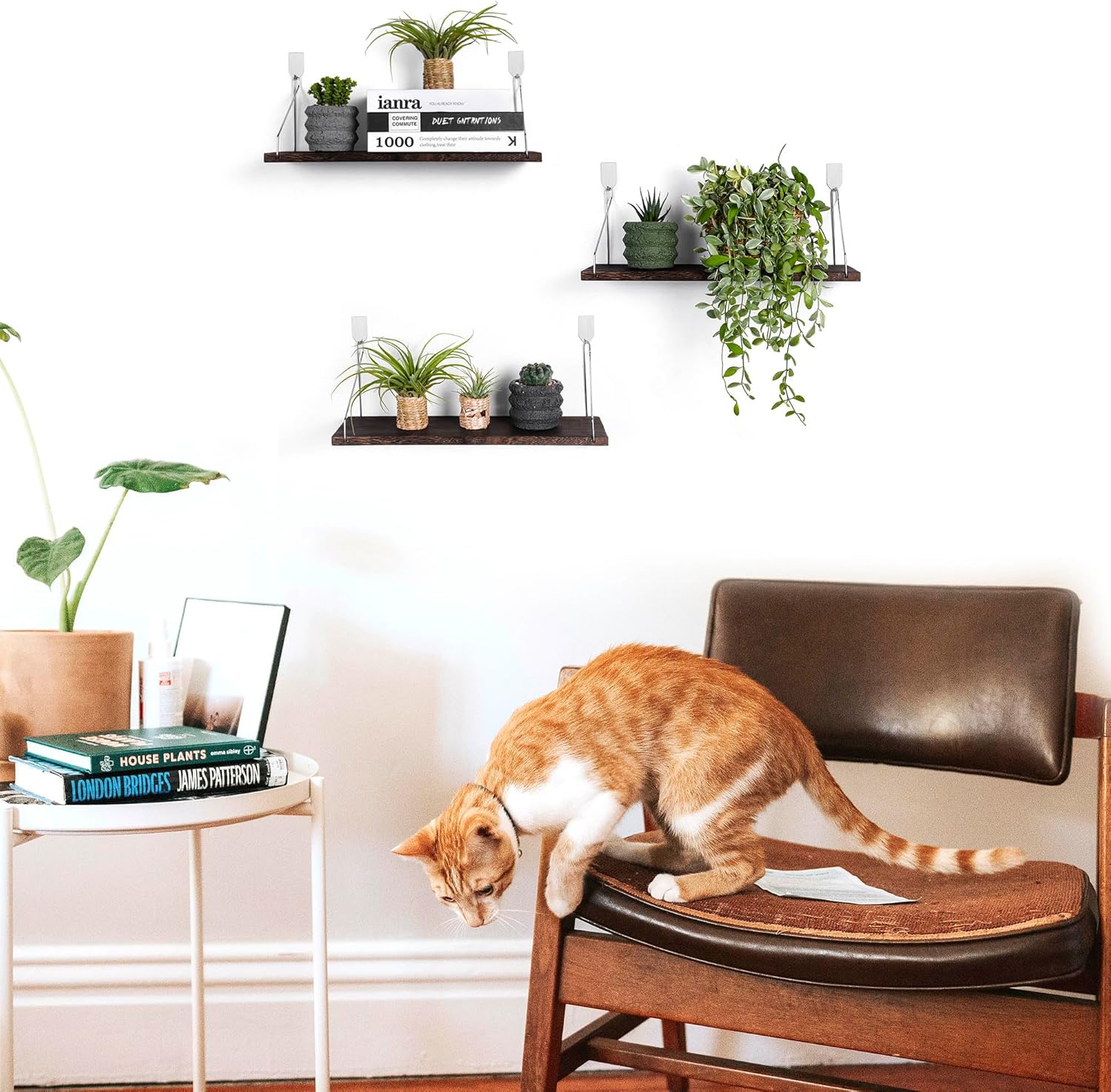 MITIME Floating Shelves Set of 3 Rustic Solid Wood Wall Storage Shelves