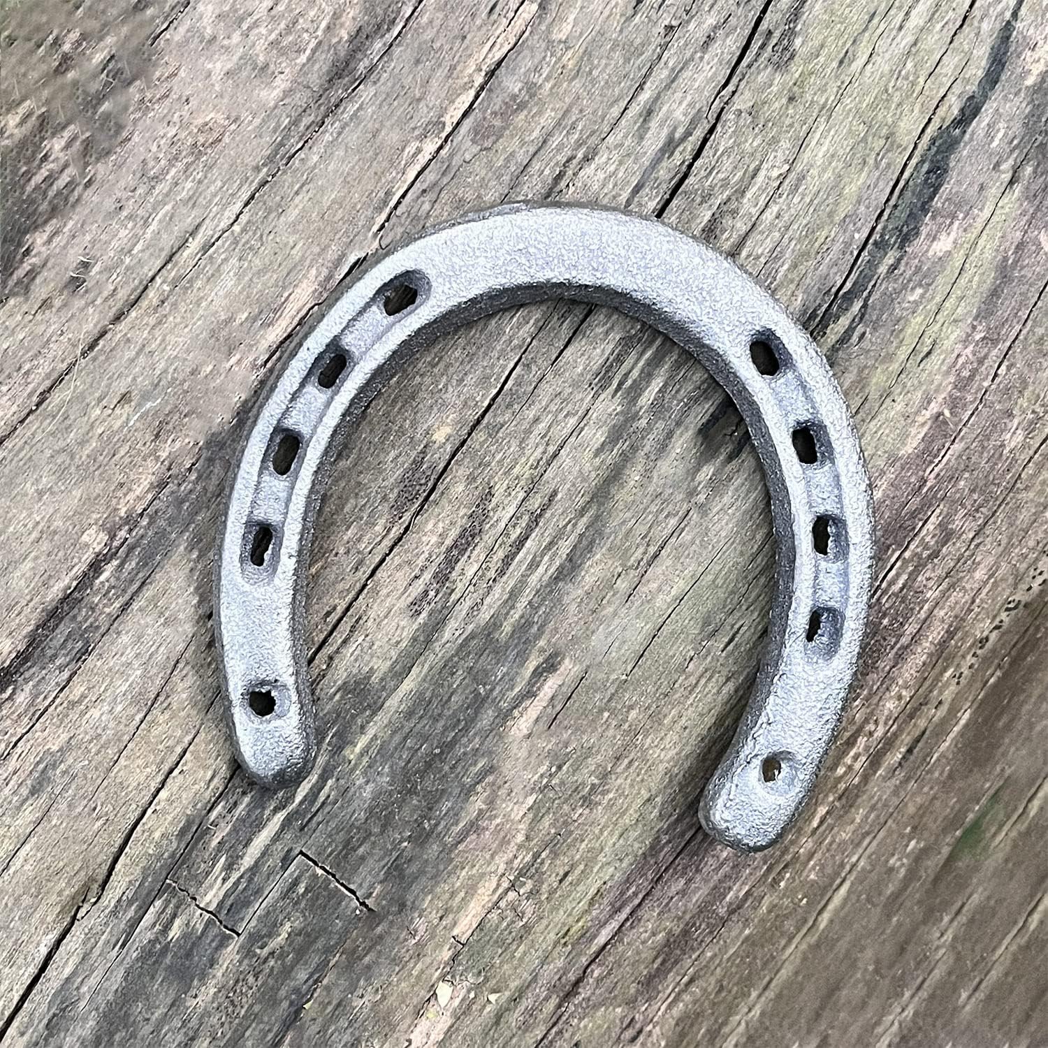 Atpxdk 2 Pc Cast Iron Horseshoe Wall Decor