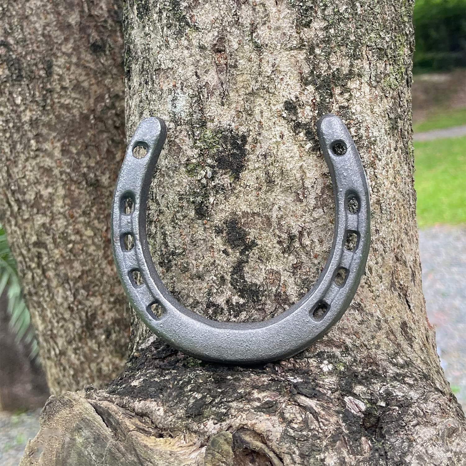 Atpxdk 2 Pc Cast Iron Horseshoe Wall Decor